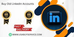 Buy Old LinkedIn Accounts
